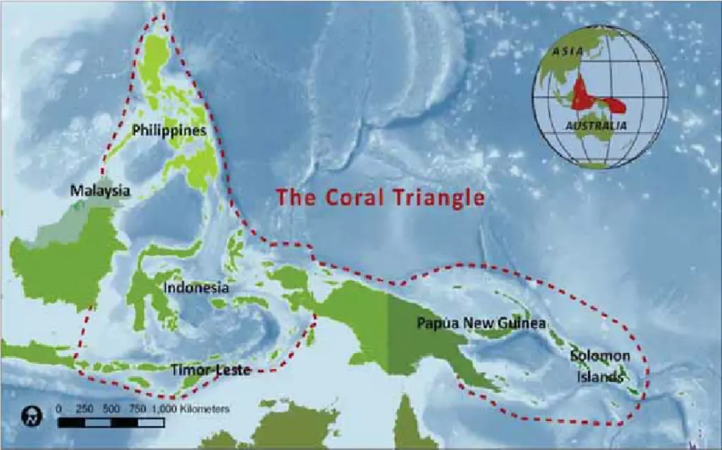 Coral Triangle