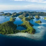 Coral Triangle