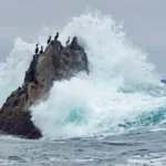 Marine Protected Areas