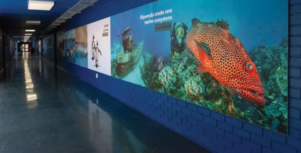 Marine Science & Ecosystems