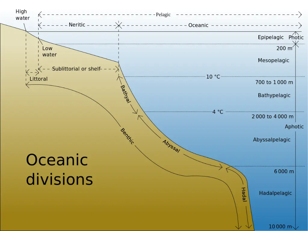 Pelagic Zone