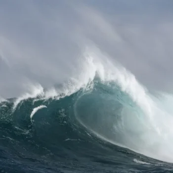 Extreme Longevity: Centuries Beneath the Waves