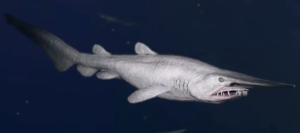 Goblin Shark