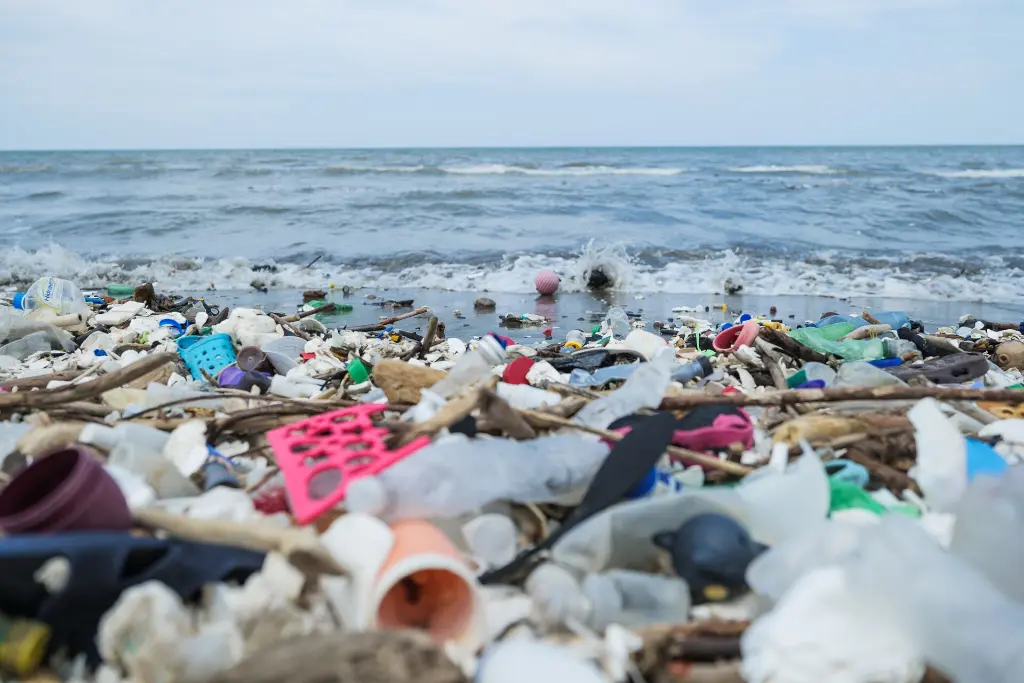 Microplastics