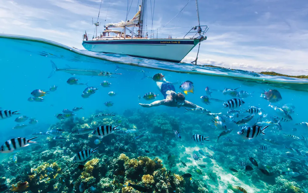 Working Towards Clean Oceans